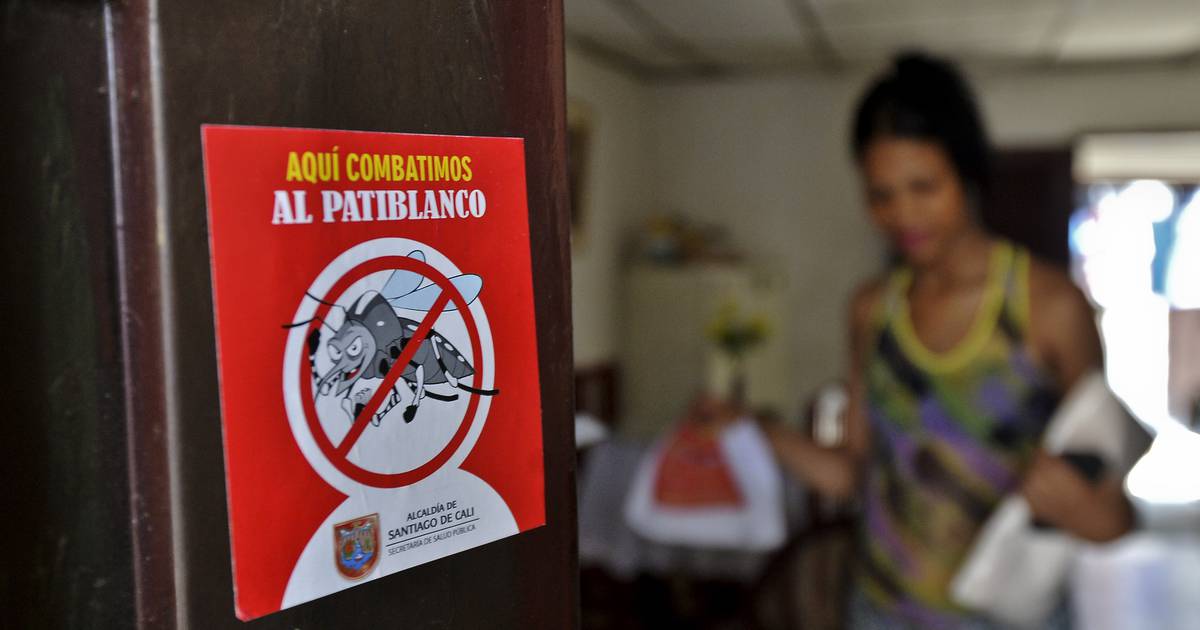 La Nación Epidemia de zika aún presente en América Latina