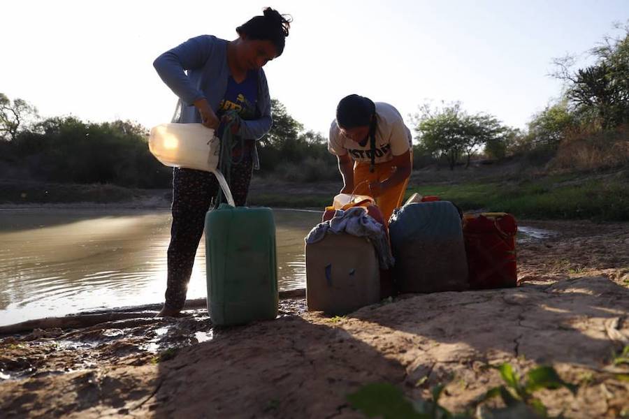 Pobladores de distintas localidades del Chaco, entre las que se encuentran varias comunidades indígenas, sufren por la falta de agua y continúan bebiendo de tajamares