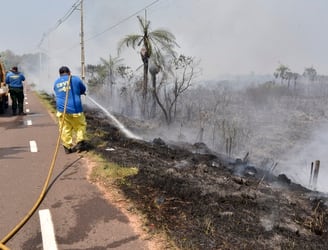 Grandes hectáreas se ven afectadas por la quema de pastizales. Foto: Archivo