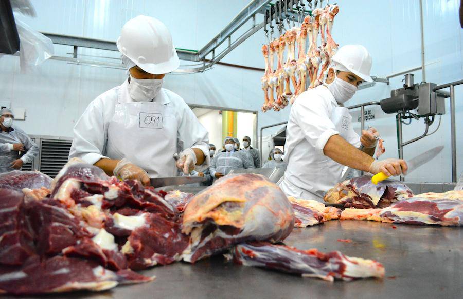 Unas 92.000 toneladas de carne vacuna fueron exportadas a Rusia el año pasado, lo que representa más del 20% en el total de la exportación de proteína roja nacional al mundo. Foto: Archivo.