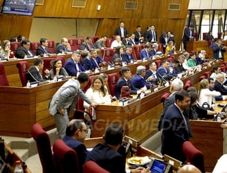 La Cámara de Diputados sesiona por primera vez en el año. FOTO: EMILIO BAZÁN
