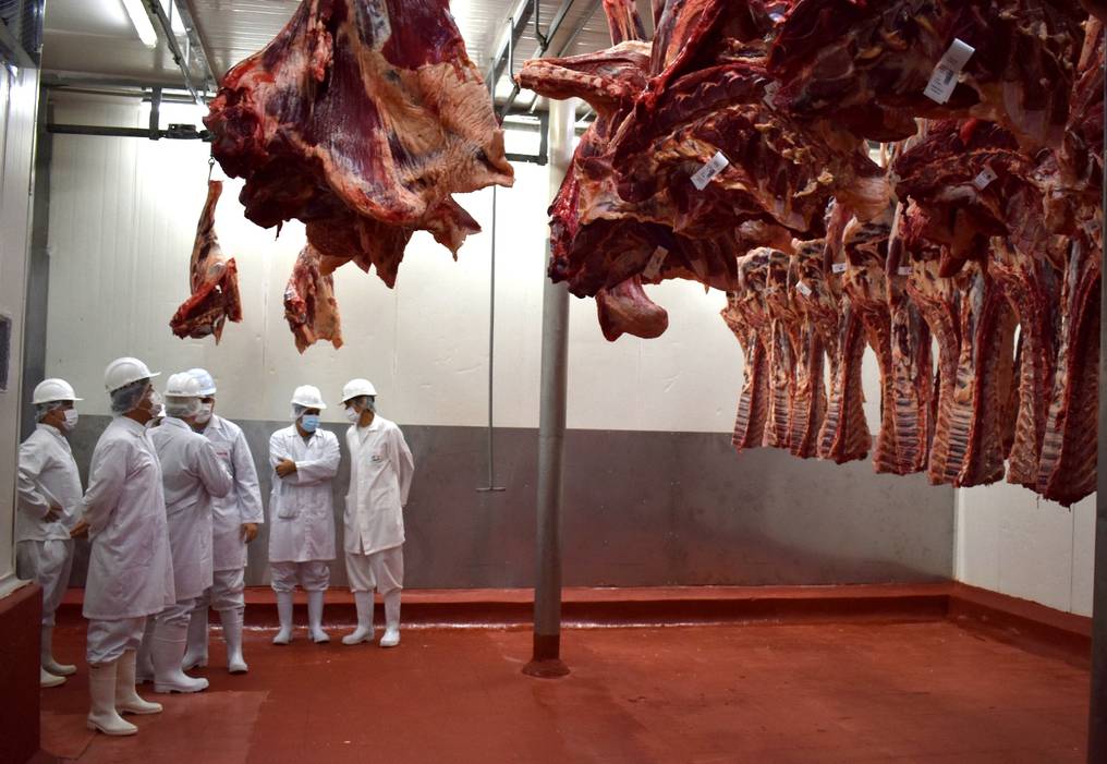 El sector de la carne paraguaya observa con preocupación las sanciones contra Rusia, uno de sus importantes mercados. Foto: Ilustrativa.