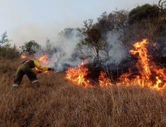 Los incendios están relacionados al fenómeno de El Niño. Foto: Gentileza