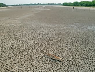 Fotografía del suelo chaqueño en plena sequía.