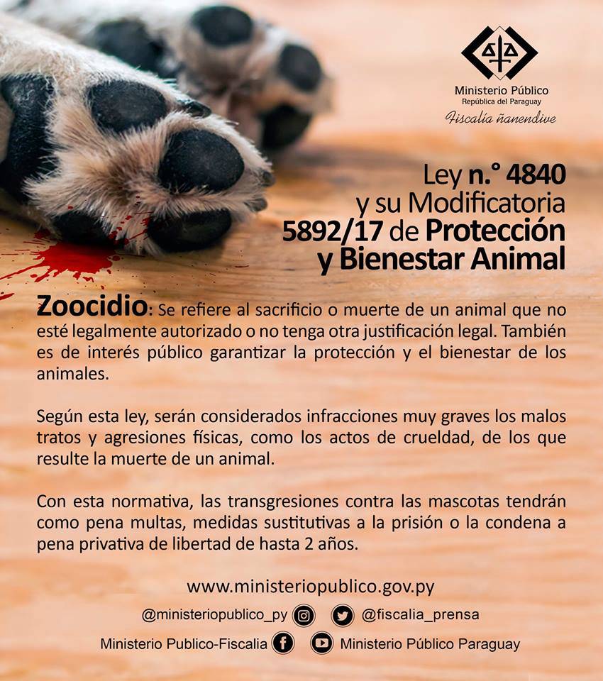 La Nación / Zoocidio con expectativas de hasta dos años de cárcel