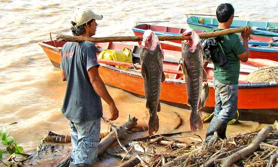 SUBSIDIOS. Varios pescadores no recibieron subsidios por parte del programa Tekoporã en el ejercicio fiscal 2019. Otros que no estuvieron en la lista recibieron pago, según informe.