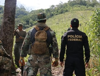 Operación en conjunta entre Paraguay y Brasil para erradicar las drogas. Foto: Senad.