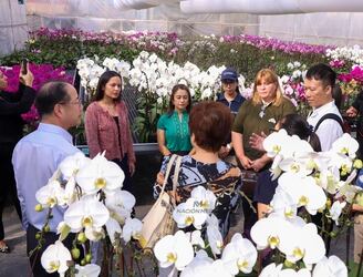 Delegación de Taiwán visitó la floricultura. Foto: Jorge Jara, NM.