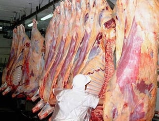 El sistema de producción es muy similar al procedimiento realizado para exportar carne paraguaya a los EE.UU. FOTO: ARCHIVO