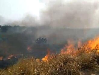 Los incendios provocados en la Costanera Norte de Asunción, son obra de invasores de inmuebles, denuncian.