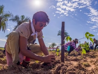 ‘Paraguay Planta’ busca sumar voluntarios en todo el país en una nueva jornada de plantación de árboles.