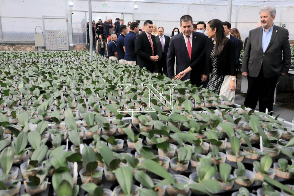 La Nación / Inauguran Floricultura del Paraguay, un invernadero de orquídeas  que genera nuevas oportunidades laborales