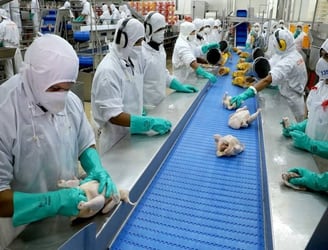 El contrabando de pollos es denunciado de vuelta en la frontera con Brasil.