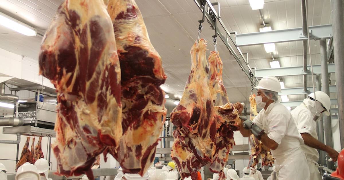The State/Meat Sector manages inspections in Mexico, Canada and Asia