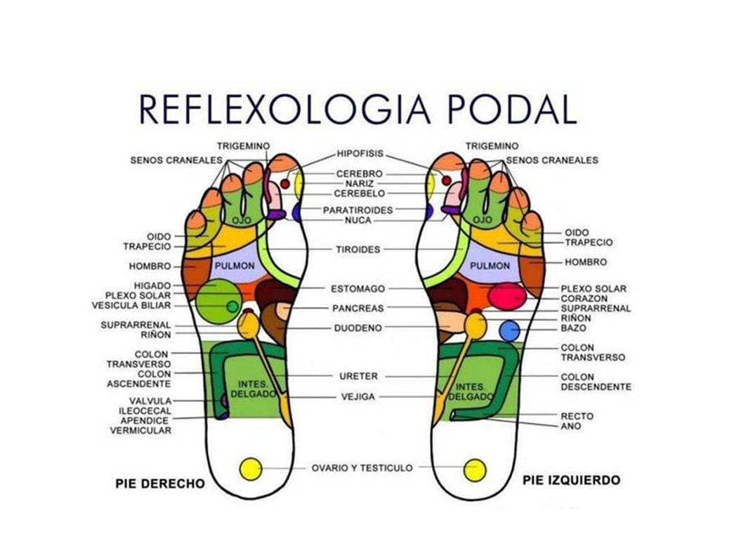 Reflexologia pies garganta hotsell