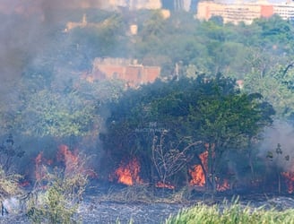 Los incendios se vienen registrando con cierta frecuencia. Foto: Nación Media.