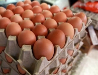 La plancha de huevo sufrió un notable aumento en su precio en los últimos días. Foto: ilustrativa.