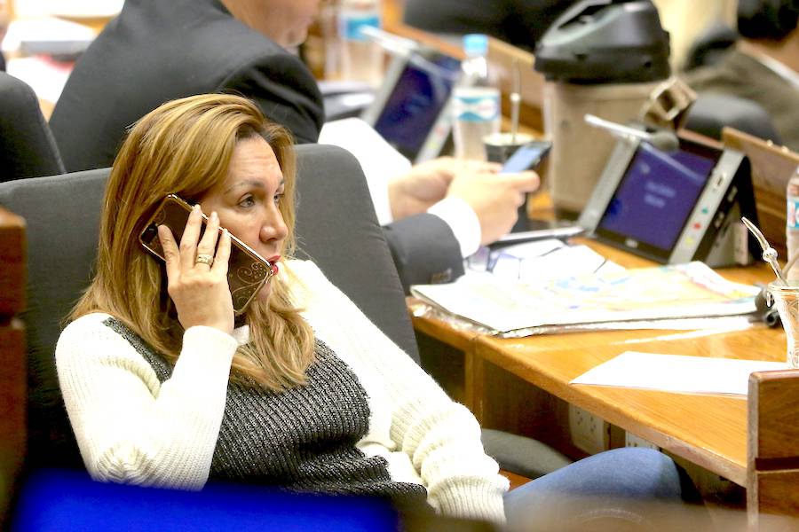 La senadora Zulma Gómez indicó que Efraín Alegre se está quedando solo porque todo el partido se une en su contra.FOTO:ARCHIVO