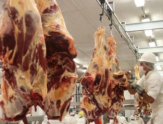 La carne paraguaya se consolida en el mercado árabe.