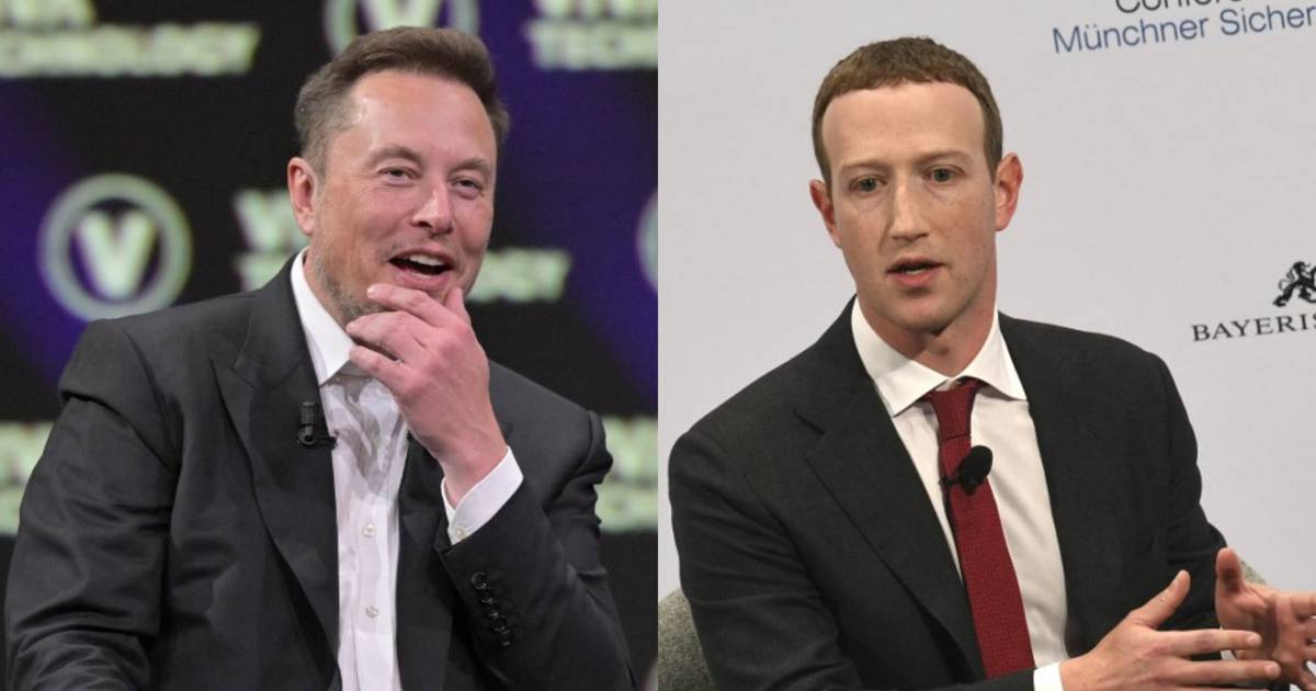 La Nación / “La battaglia del secolo”?  Elon Musk e Mark Zuckerberg potrebbero combattere sul ring