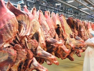 Israel autorizó la importación de carne bovina con hueso desde Paraguay. Foto: ilustrativa.