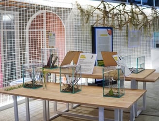 El mundo arácnido llega este sábado a la exhibición “Cháke Bicho” del Museo de Ciencias.