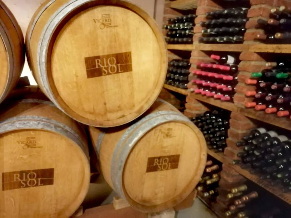 El diario La Nación visitó al menos dos industrias vitivinícolas a través de un recorrido por el Valle de San Francisco. Foto: Alba Delvalle. 