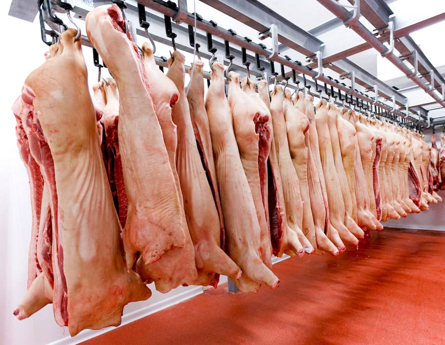Los ingresos generados por el sector porcino en los primeros dos meses fue de US$ 198.627, tras exportar carne de cerdo al mercado uruguayo. Foto: Archivo.