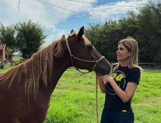 Sanie López Garelli mostró cómo quedó su caballo luego de que le enredaran el pelo.