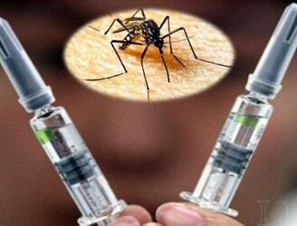 Salud evalúa la implantación de la vacuna contra el dengue.