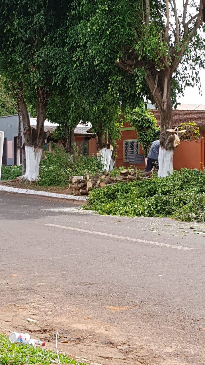 La Nacion Para Mejorar Avenida Echan Arboles En Itakyry