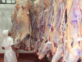 La carne paraguaya llgará a Canadá. Foto: archivo