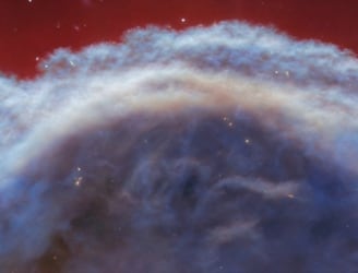 Imagen de la nebulosa Cabeza de Caballo, centrada en una porción de la 'melena' que tiene aproximadamente 0,8 años luz de ancho.