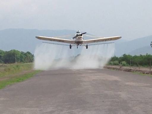 La Nacion Diputado Propone Fumigacion Aerea Pero Salud Publica La Descarta