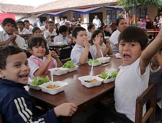 El proyecto “Hambre cero en las escuelas” busca llegar al 100% de las escuelas públicas y subvencionadas. Foto: archivo.