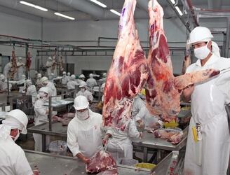 Culmina con éxito el proceso para exportación de carne bovina con hueso a Israel.