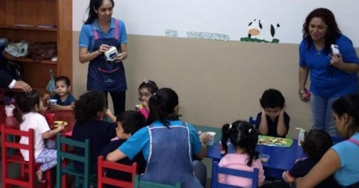 Guarderia El Taller De Los Niños San Juan Del Rio
