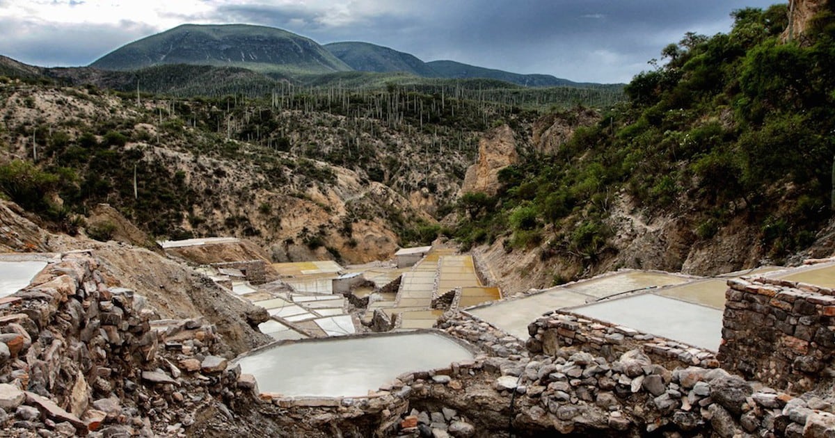 La Nación / Valle de TehuacánCuicatlán, declarado Patrimonio de la