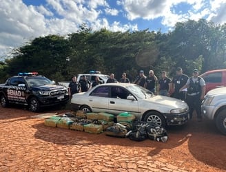 Operación Basalto: incautan casi media tonelada de marihuana en Alto Paraná.