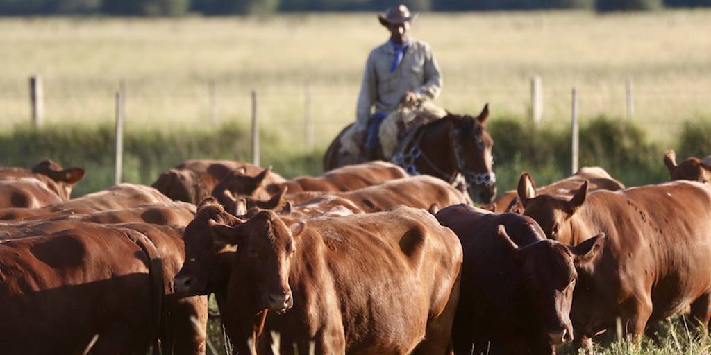 Lezama, un rincón productivo de Buenos Aires