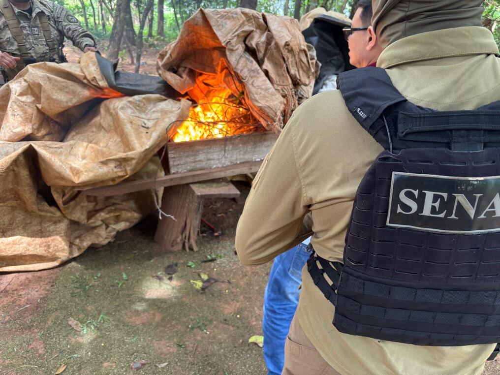 El perjuicio económico para las organizaciones criminales asciende a USD 20 millones en el marco de la operación Nueva Alianza 53. Foto: Gentileza