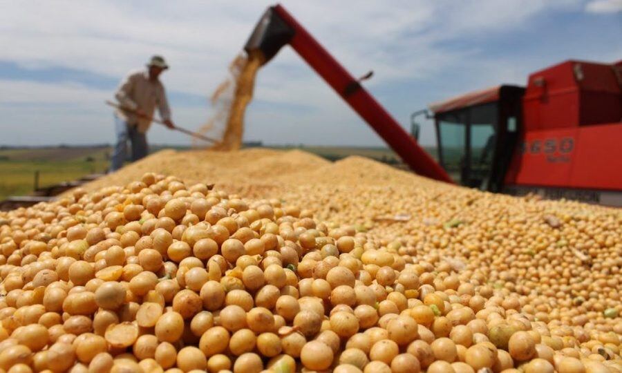 Las ventajas eventuales no se limitarían solo a la soja, sino también a productos como la carne y el maíz.FOTO: ARCHIVO
