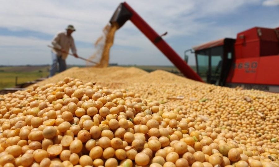 Las ventajas eventuales no se limitarían solo a la soja, sino también a productos como la carne y el maíz.FOTO: ARCHIVO