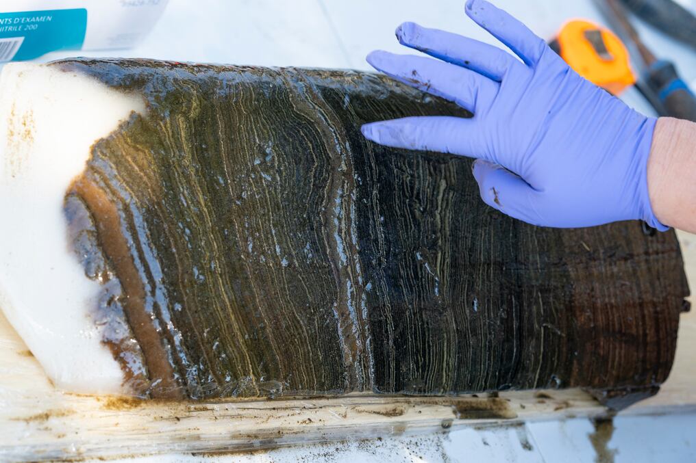La excepcional conservación de las capas geológicas en una reserva de agua cerca de Toronto sirve de referencia para establecer la nueva era del planeta. Foto: AFP