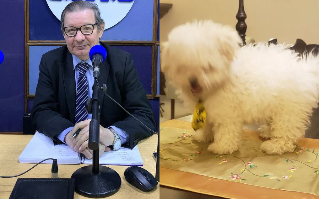 Carlos Martini se mostró emocionado por la llegada de Bobby, su nueva mascota. Foto: @carlosmartini/Instagram
