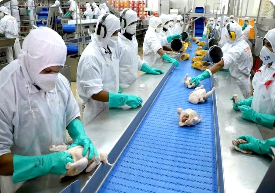 Posterior a la inspección, los técnicos llevarán todas las consideraciones al organismo encargado de regular las importaciones al país asiático y emitir una resolución, para que a finales de este año se pueda concretar la habilitación de ese mercado. Foto: Gentileza