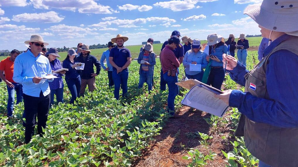 Miembros de la Asociación de Productores de Semillas del Paraguay recibieron asistencia técnica del Senave. Foto: Gentileza