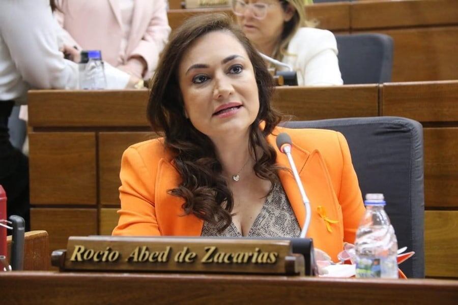 La diputada Rocío Abed instó a la Cancillería activar todos los medios y mecanismos para pedir explicaciones al Gobierno de Brasil sobre este caso. Foto: Archivo