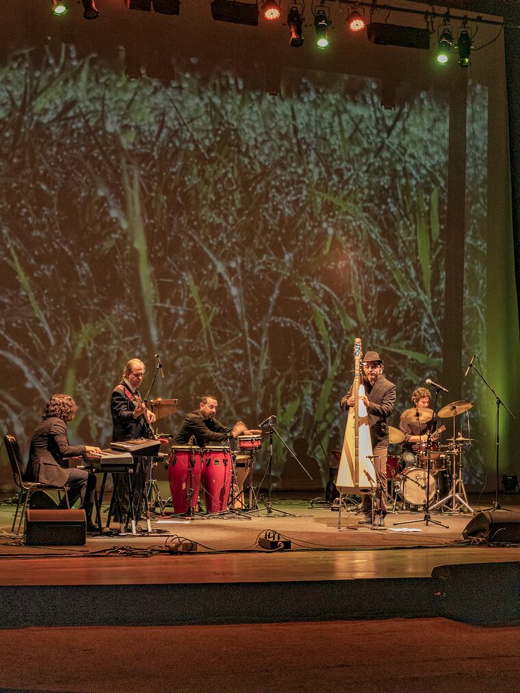 Ndavaru fusiona el arpa paraguaya con ritmos contemporáneos. Foto: Gentileza