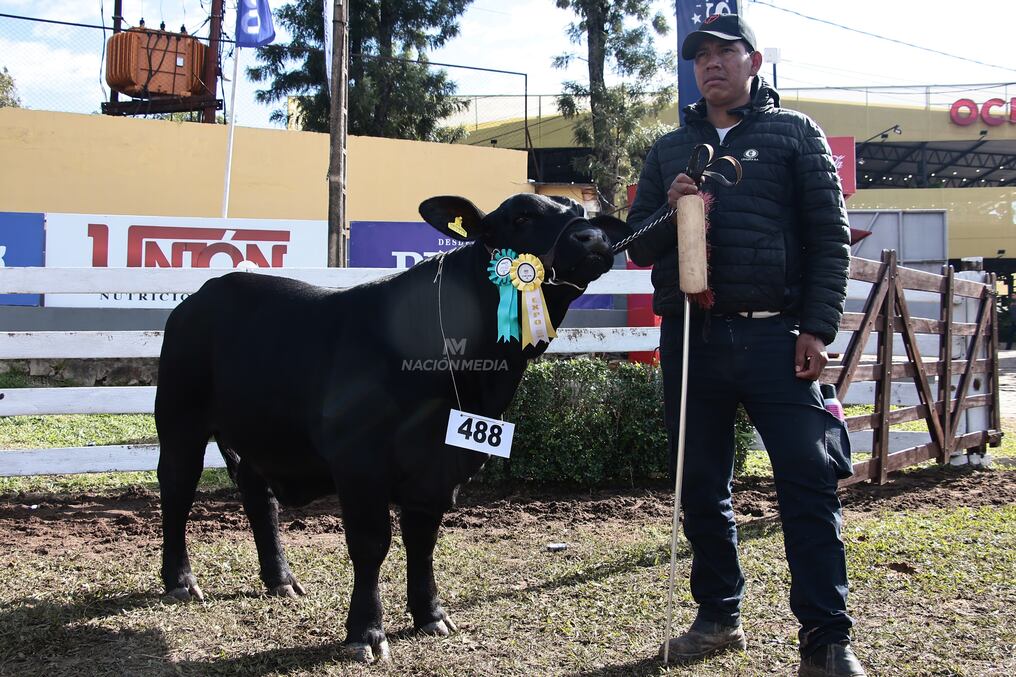 Durante el juzgamiento, el jurado mencionó que se contó con muy buenos animales en pista. Foto: Eduardo Velázquez